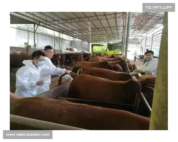 专业人才队伍不断壮大，为统筹体系提供智力支持